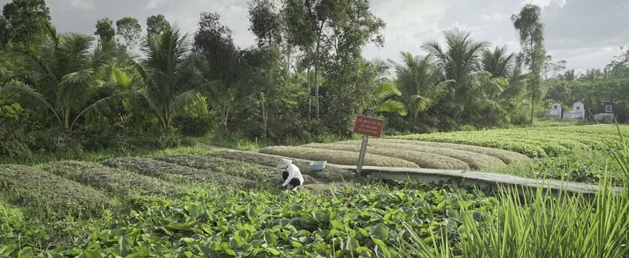 farmer at agricultural work in the Mekong Delta in Vietnam