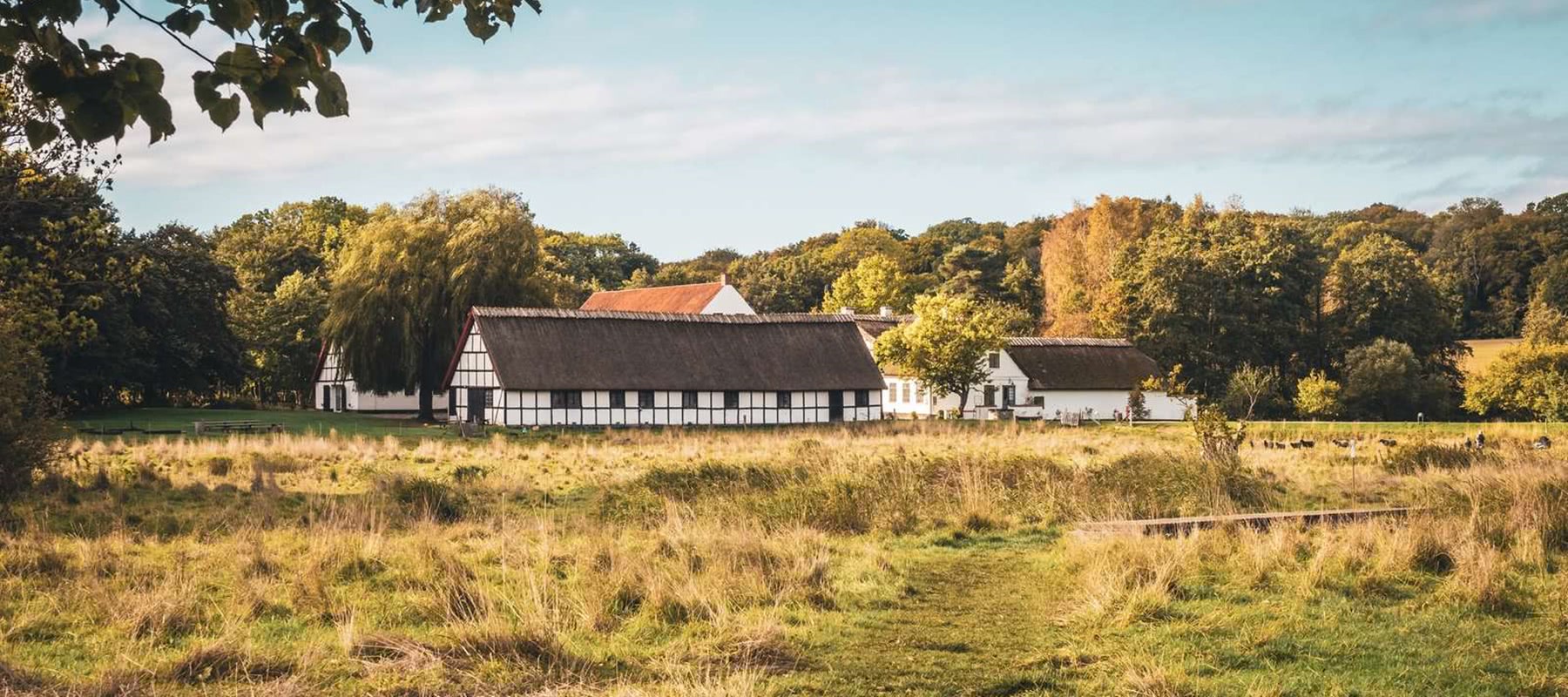 Esrum Kloster in schoenen Farben