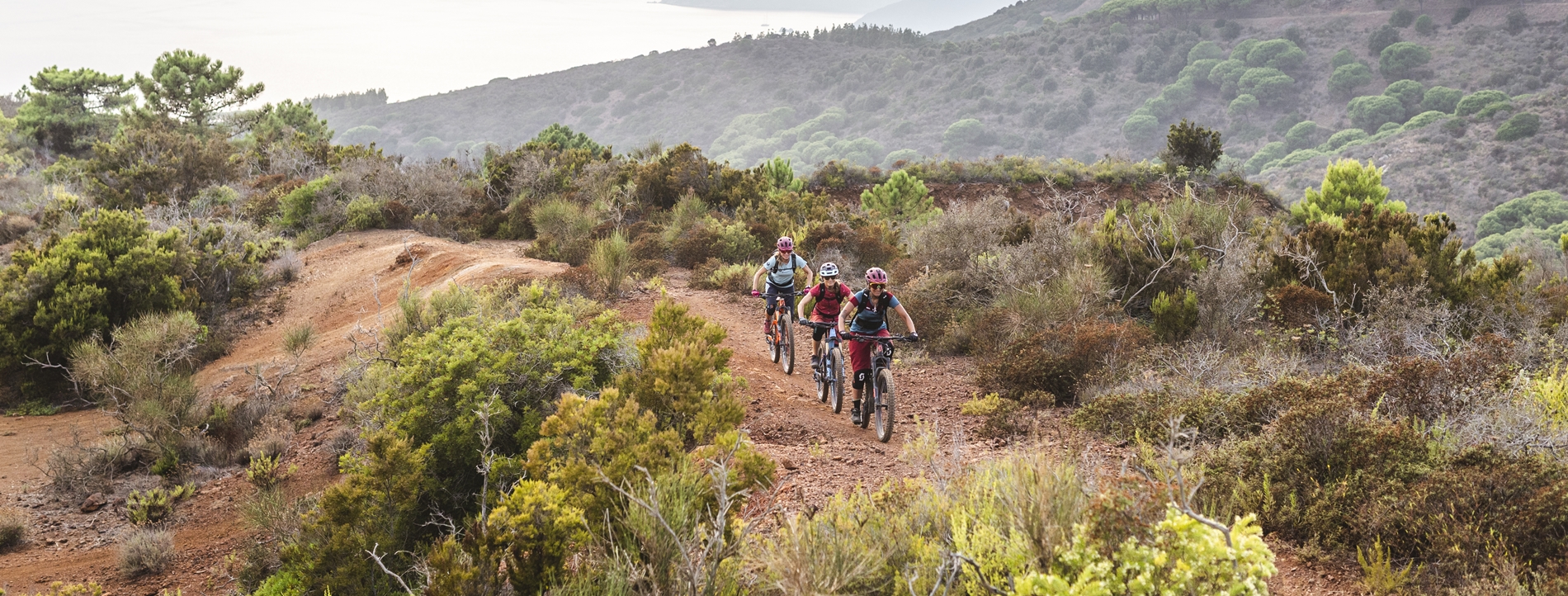 Segeln & MTB Standard Highlights der Toskana | Gefhrte Bikereise Italien -  Inselhpfen | Radreisen und Meer