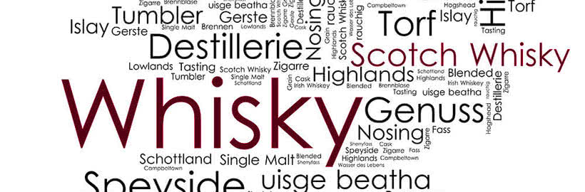 Wortwolke mit Wörtern rund um Whisky